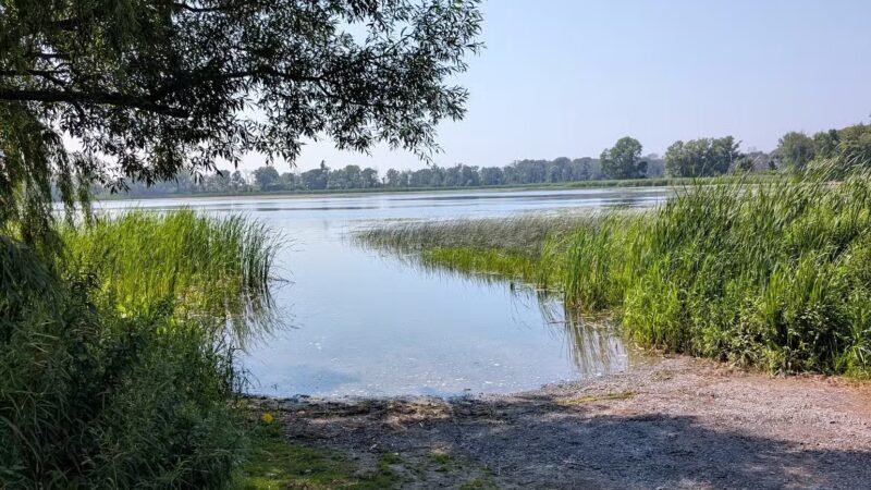 Lake View Pond Trail and Beach Access - Henderson, NY