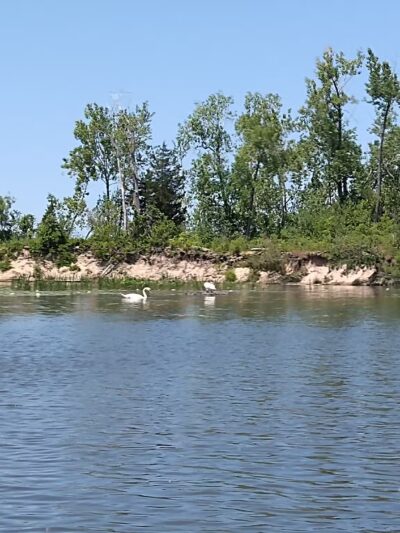 Lakeview Wildlife Management Area - Henderson, NY
