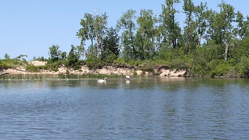 Lakeview Wildlife Management Area - Henderson, NY