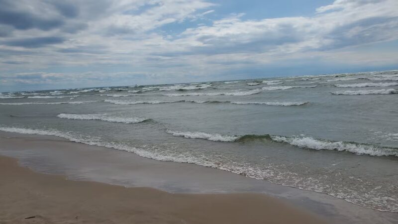 Lakeview Wildlife Management Area - Henderson, NY