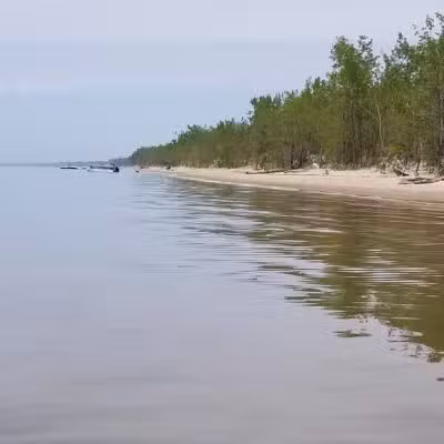 Lakeview Wildlife Management Area - Henderson, NY