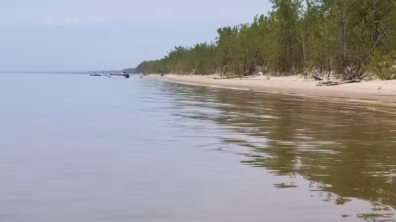 Lakeview Wildlife Management Area - Henderson, NY