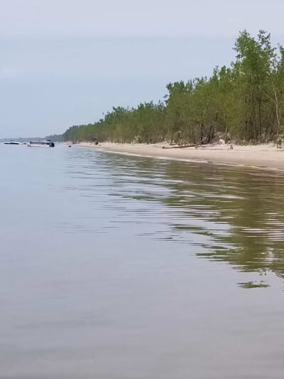 Lakeview Wildlife Management Area - Henderson, NY