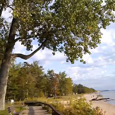 Lakeview Wildlife Management Area - Henderson, NY