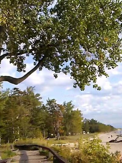 Lakeview Wildlife Management Area - Henderson, NY