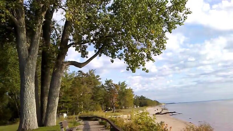 Lakeview Wildlife Management Area - Henderson, NY