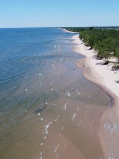 Lakeview Wildlife Management Area - Henderson, NY