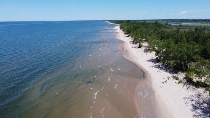 Lakeview Wildlife Management Area - Henderson, NY