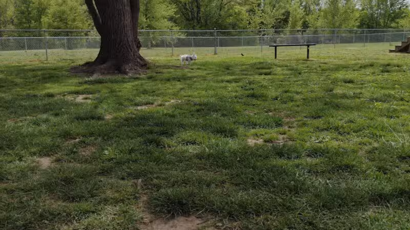 Hendersonville Dog Park - Hendersonville, TN