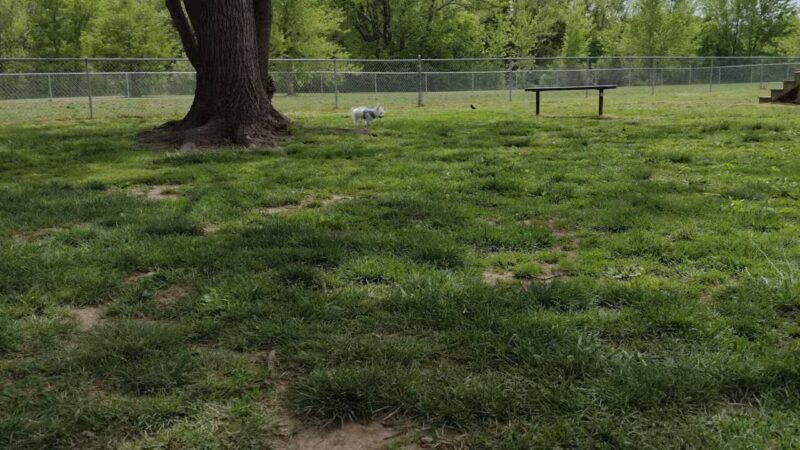 Hendersonville Dog Park - Hendersonville, TN