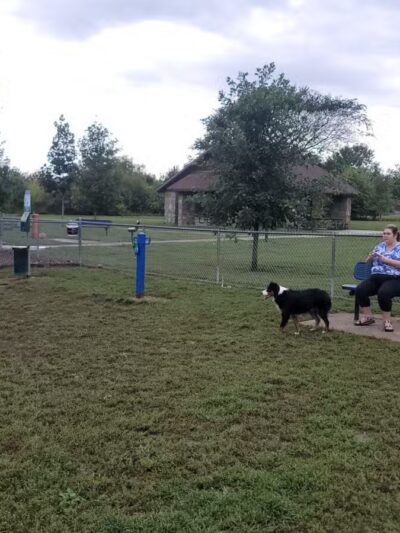 Hendersonville Dog Park - Hendersonville, TN