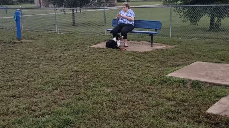 Hendersonville Dog Park - Hendersonville, TN