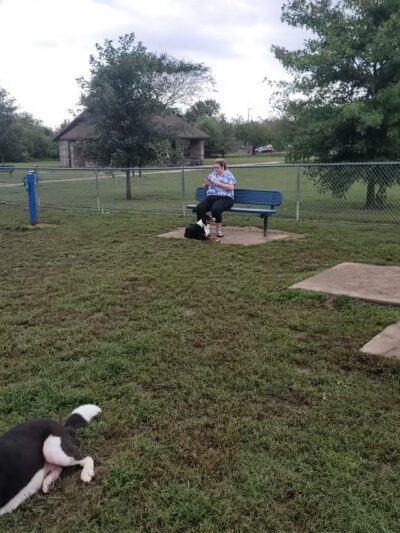 Hendersonville Dog Park - Hendersonville, TN