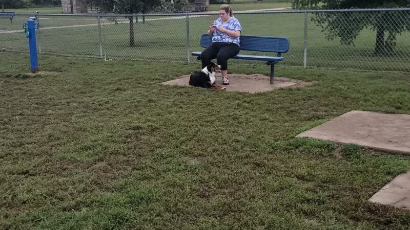Hendersonville Dog Park - Hendersonville, TN