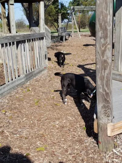 City Park - Henrietta, TX