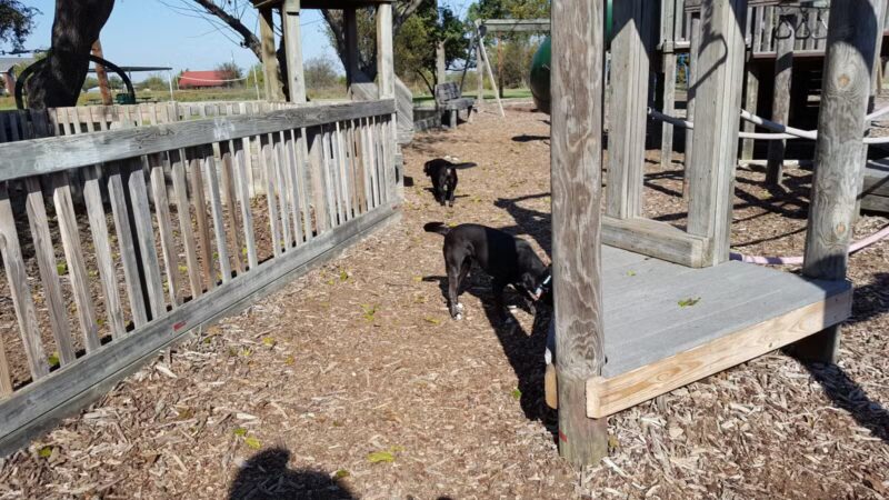 City Park - Henrietta, TX