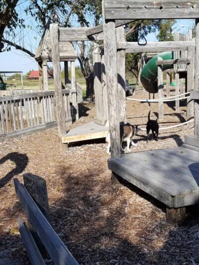 City Park - Henrietta, TX