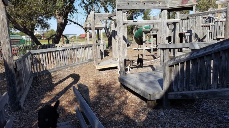 City Park - Henrietta, TX