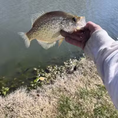 Herington City Park - Herington, KS