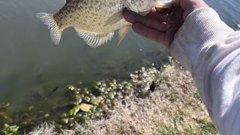 Herington City Park - Herington, KS