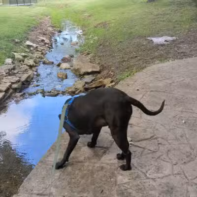 Herington City Park - Herington, KS