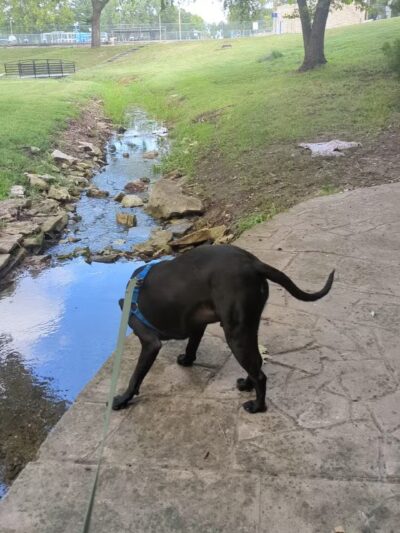 Herington City Park - Herington, KS