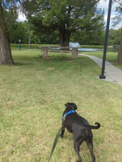 Herington City Park - Herington, KS