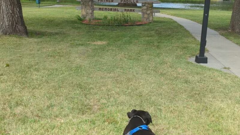 Herington City Park - Herington, KS