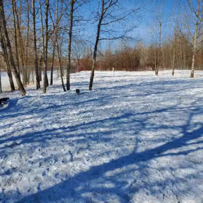 Hibbing Dog Park - Hibbing, MN