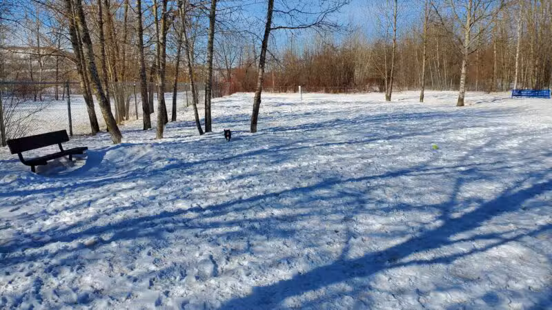 Hibbing Dog Park - Hibbing, MN