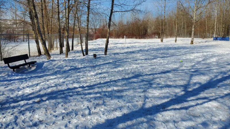 Hibbing Dog Park - Hibbing, MN