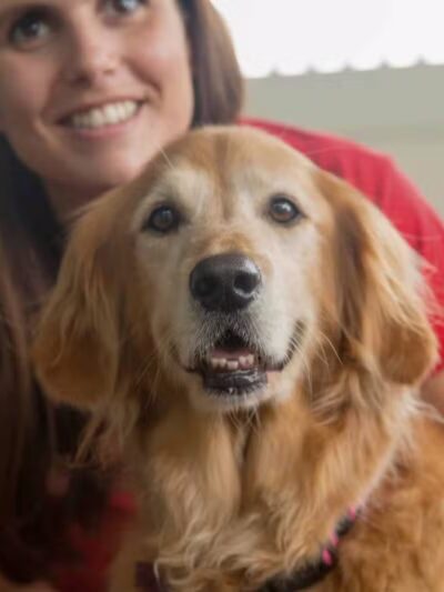 Camp Bow Wow Hicksville - Hicksville, NY