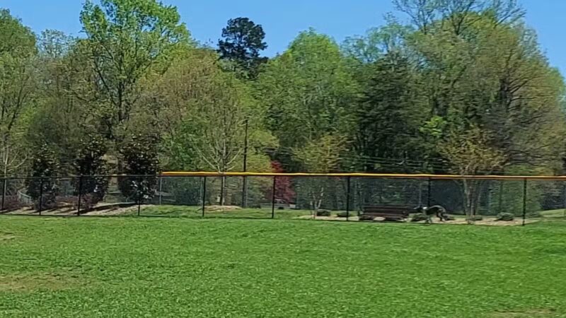 Hedgecock Park - High Point, NC