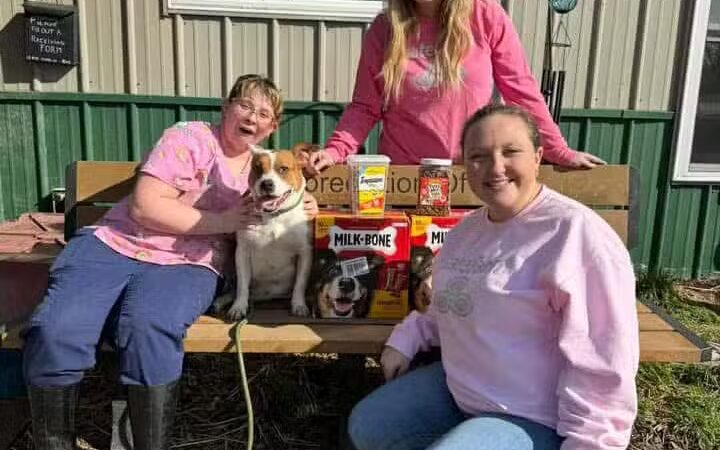Parke-Vermillion County Humane Society - Hillsdale, IN