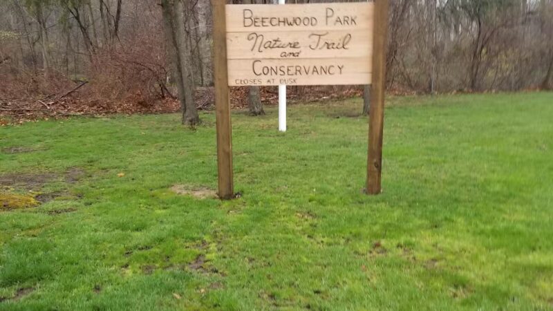Beechwood Park - Hillsdale, NJ