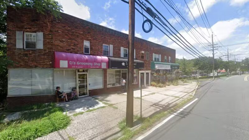 D's Grooming Shop - Hillsdale, NJ