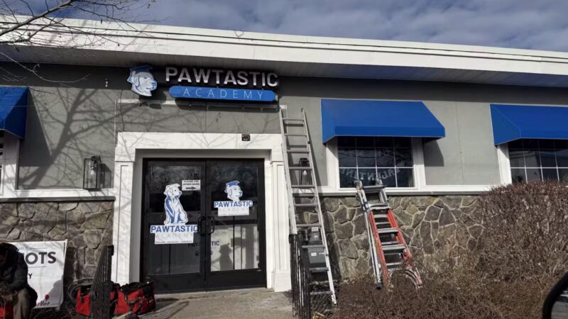 PAWtastic Academy Hillsdale - Hillsdale, NJ