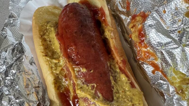 The Hot Dog Lady - Hillsdale, NJ