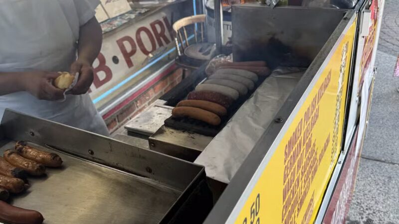 The Hot Dog Lady - Hillsdale, NJ