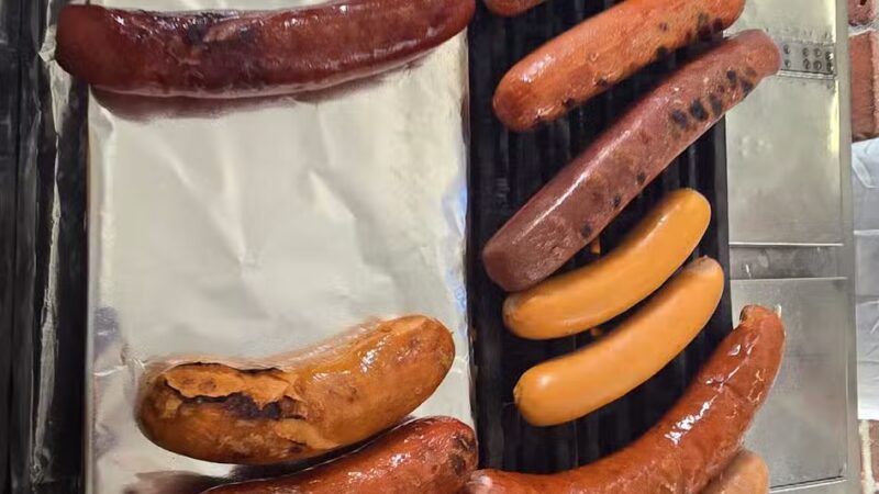 The Hot Dog Lady - Hillsdale, NJ