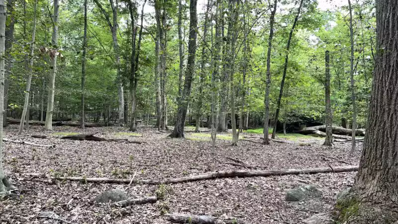 Sapienza Gardens - Hillsdale, NJ
