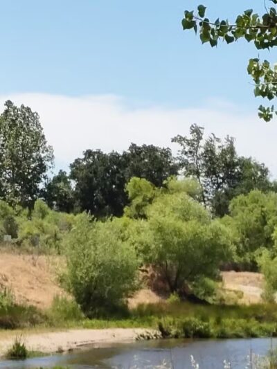 George J. Hatfield State Recreation Area - Hilmar, CA