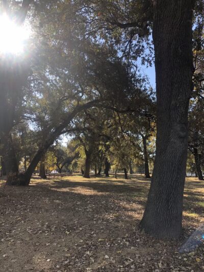 George J. Hatfield State Recreation Area - Hilmar, CA