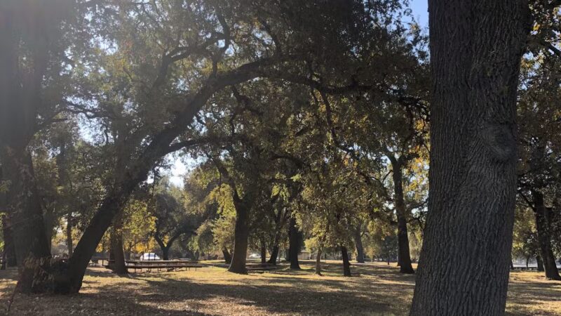 George J. Hatfield State Recreation Area - Hilmar, CA