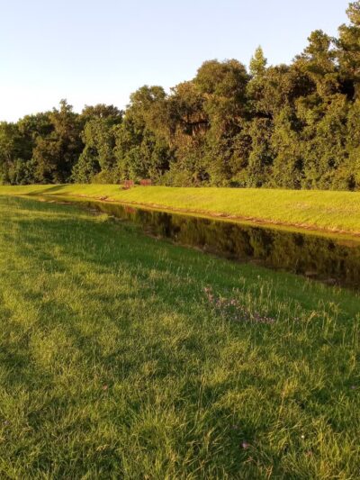 Cisco's Dog Park At Bryant Commons Park - Hinesville, GA