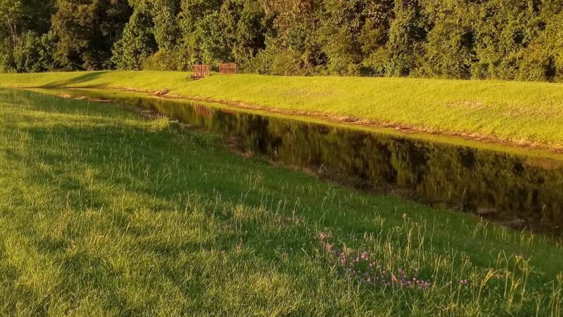 Cisco's Dog Park At Bryant Commons Park - Hinesville, GA