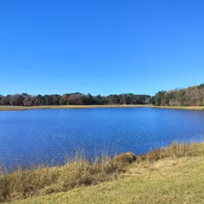 Cisco's Dog Park At Bryant Commons Park - Hinesville, GA