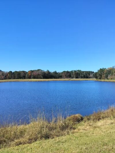 Cisco's Dog Park At Bryant Commons Park - Hinesville, GA