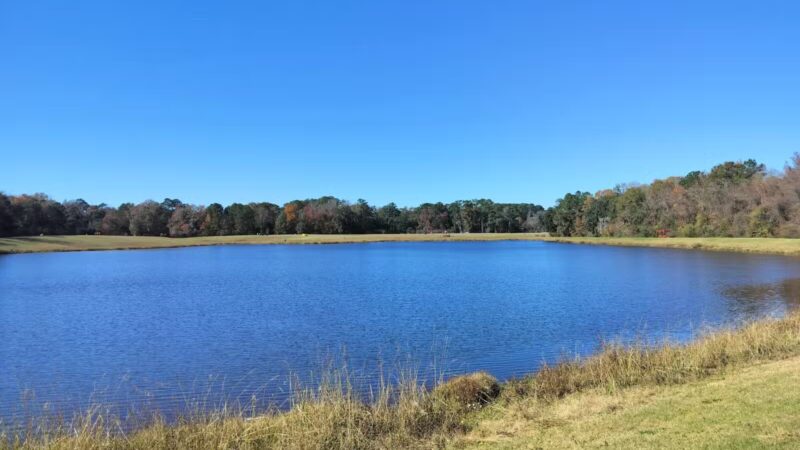 Cisco's Dog Park At Bryant Commons Park - Hinesville, GA