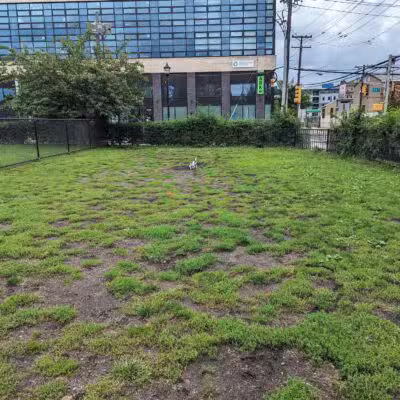 Dog run - Hoboken, NJ